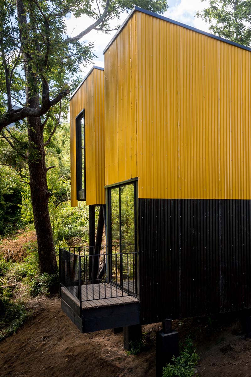 Желтый экологичный домик в лесу
